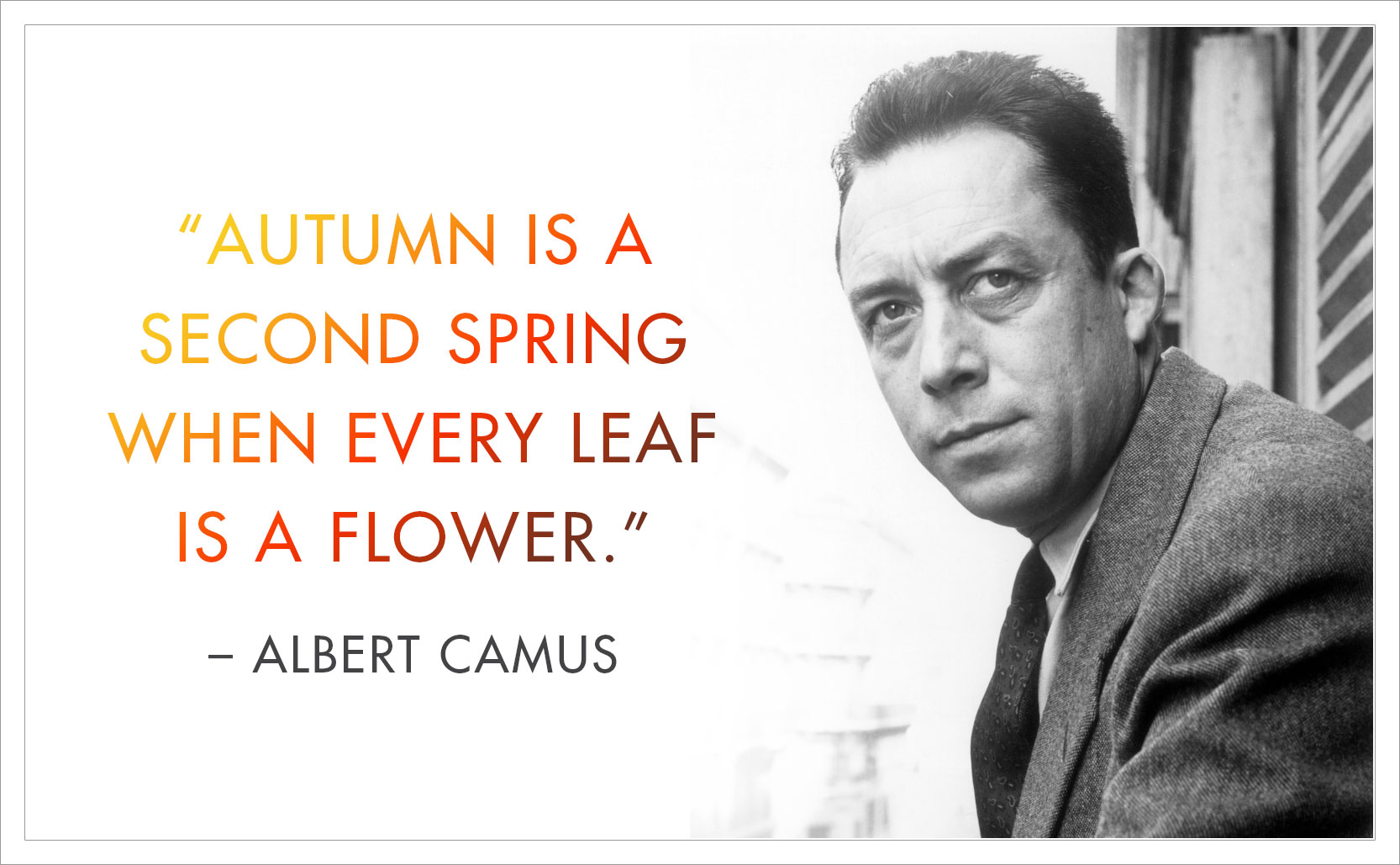 “Autumn is a second spring when every leaf is a flower.” ― Albert Camus