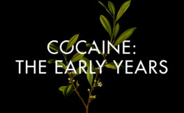 Cocaine: the Early Years