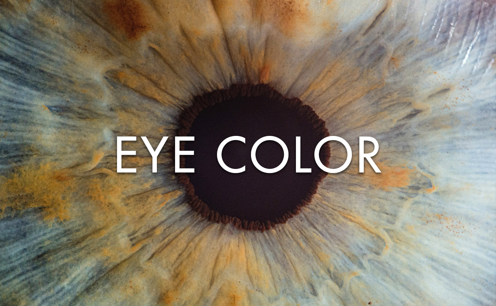Read more about the article Eye Color