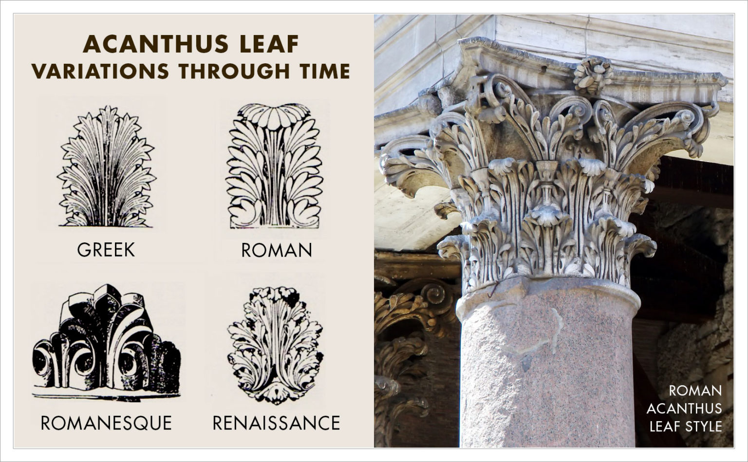 Acanthus Leaves