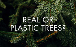 Real or Plastic Trees?