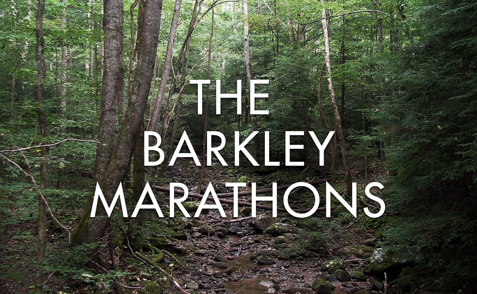 Read more about the article the Barkley Marathons