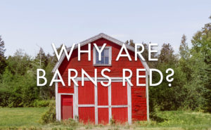 why are barns red?