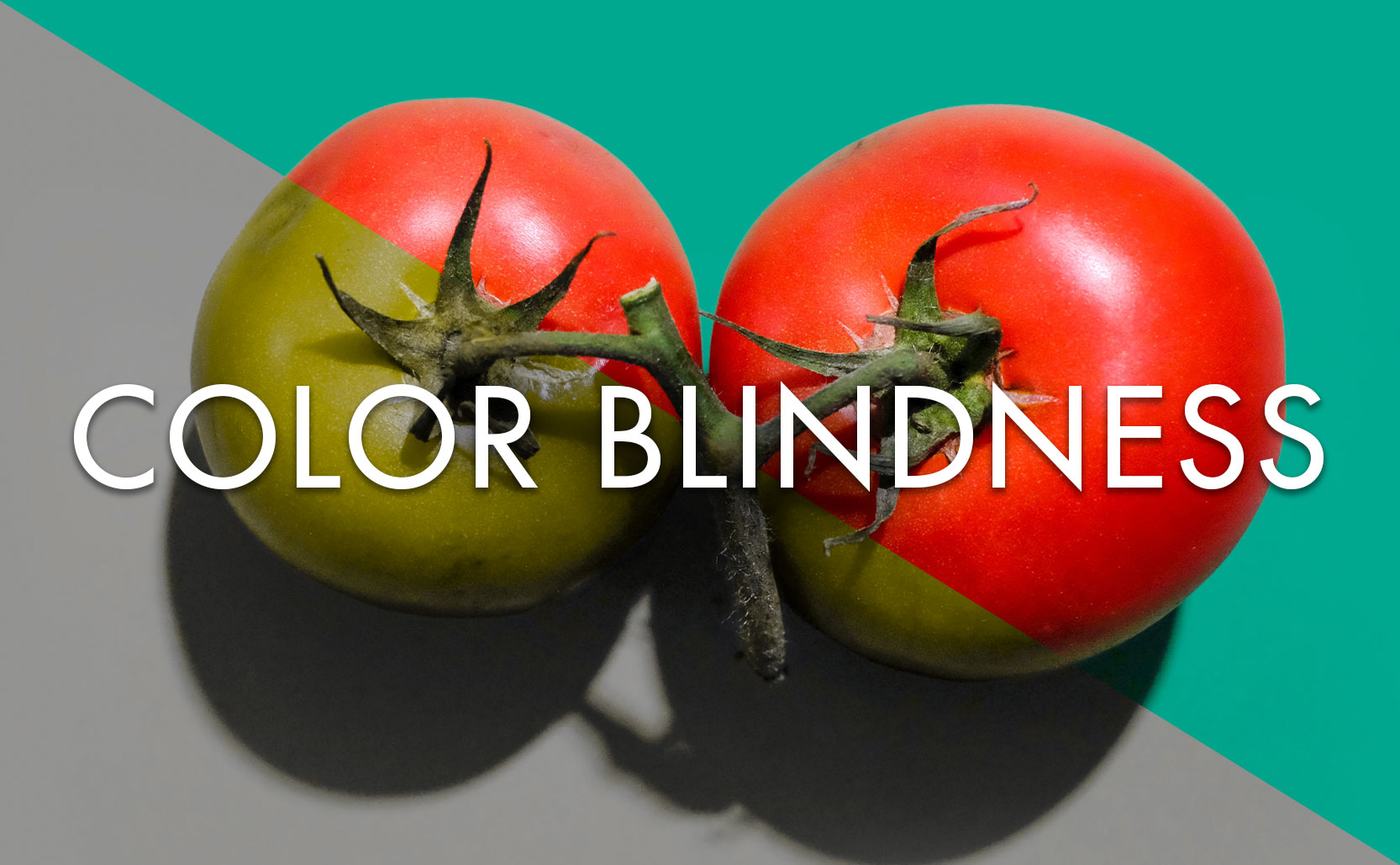 You are currently viewing Color Blindness