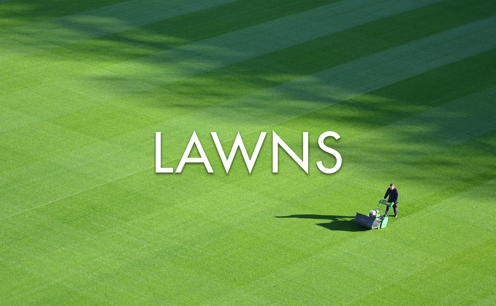 You are currently viewing Lawns