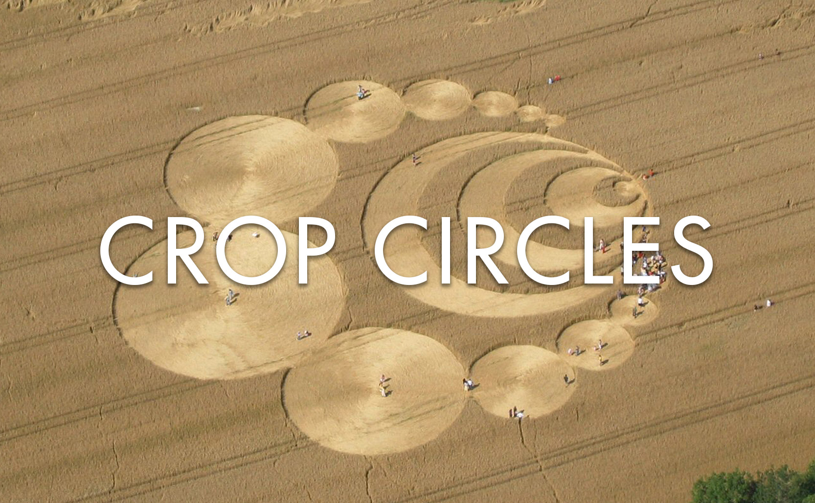 You are currently viewing Crop Circles