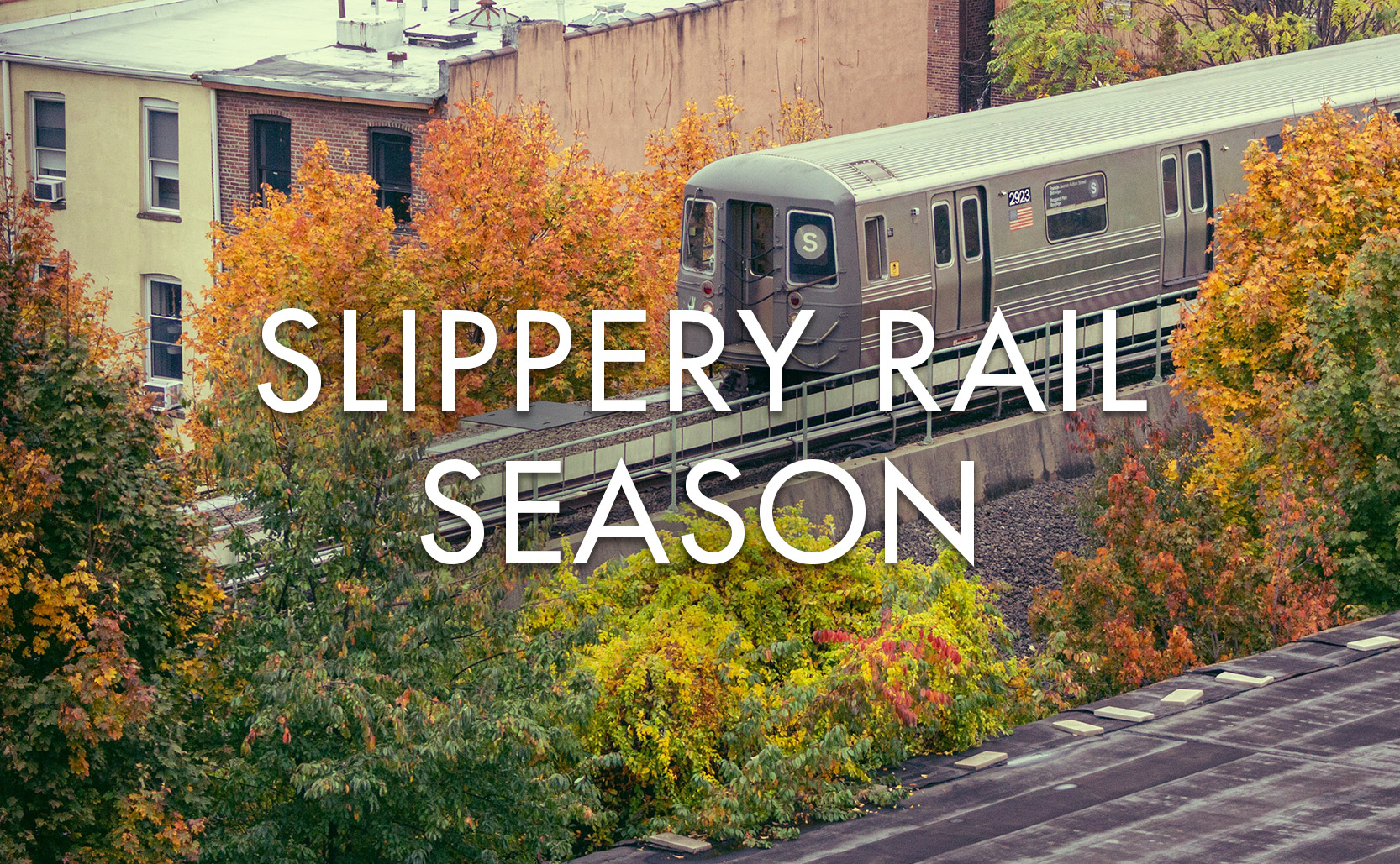 Read more about the article Slippery Rail Season