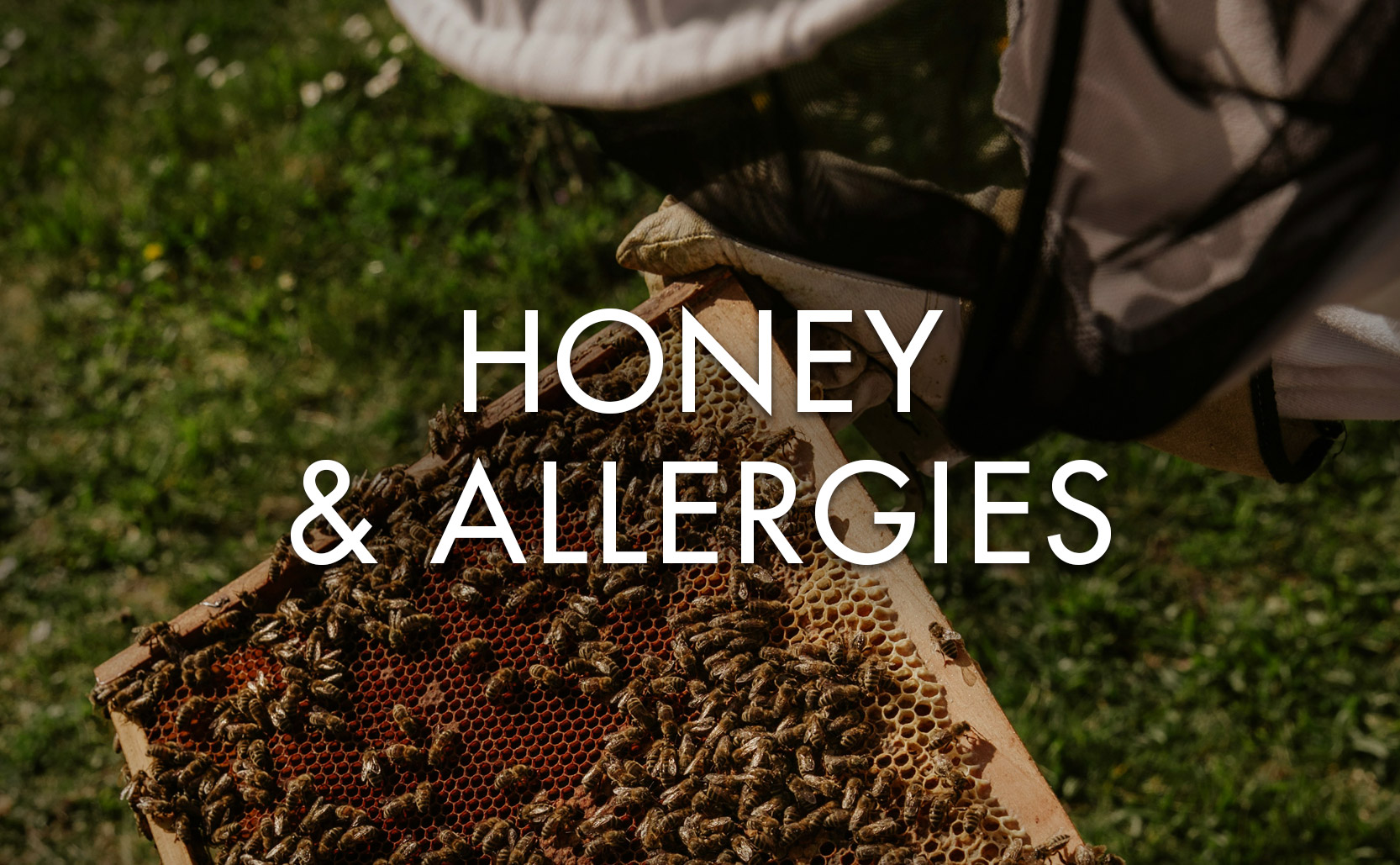 Read more about the article Honey & Allergies