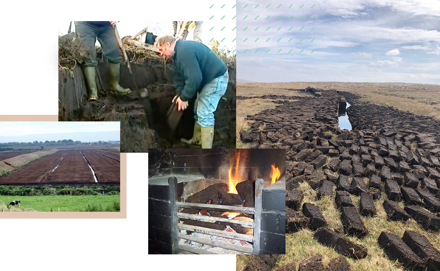 Peatlands and peat harvesting