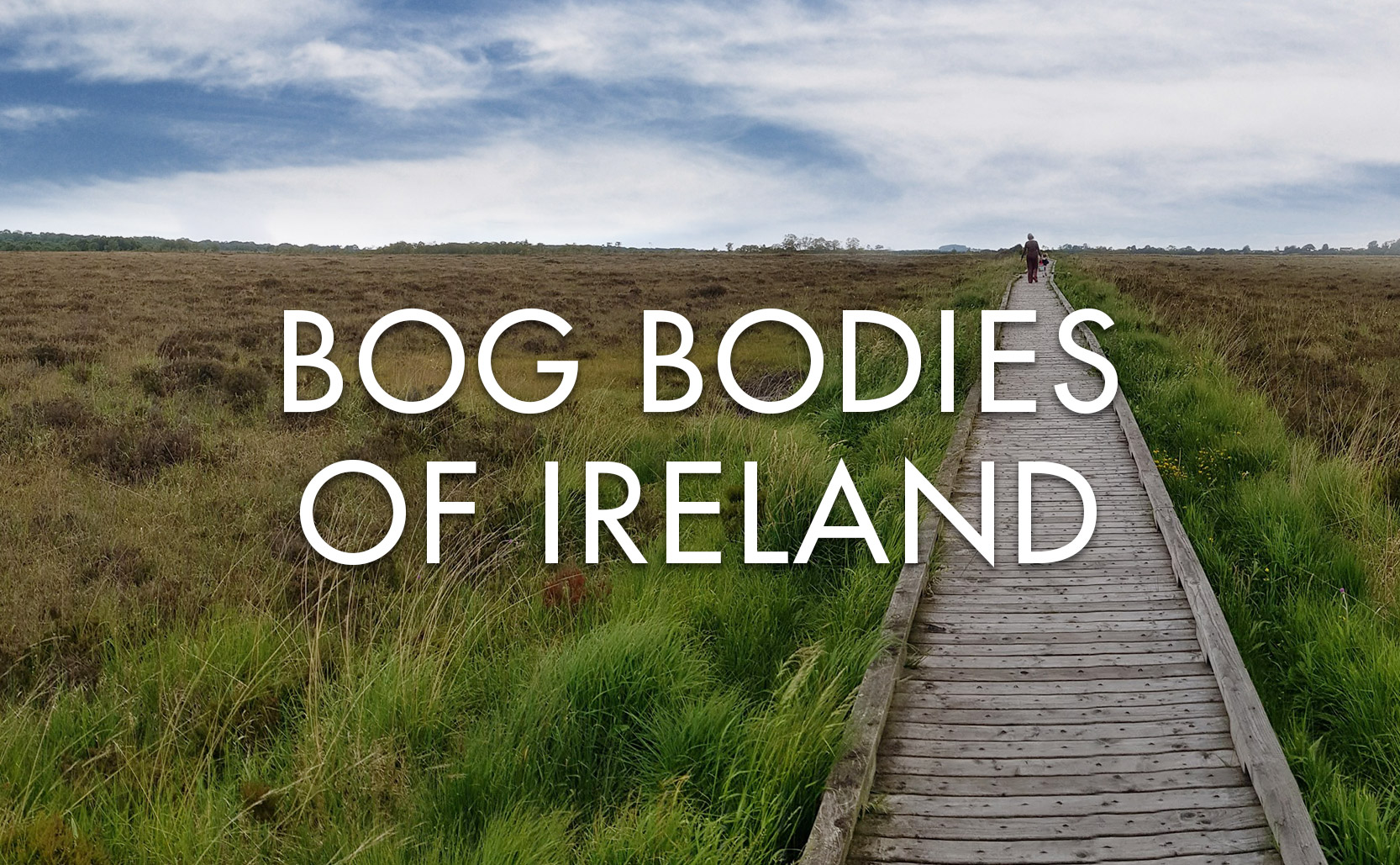 Read more about the article Bog Bodies of Ireland