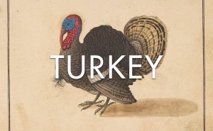 Turkey