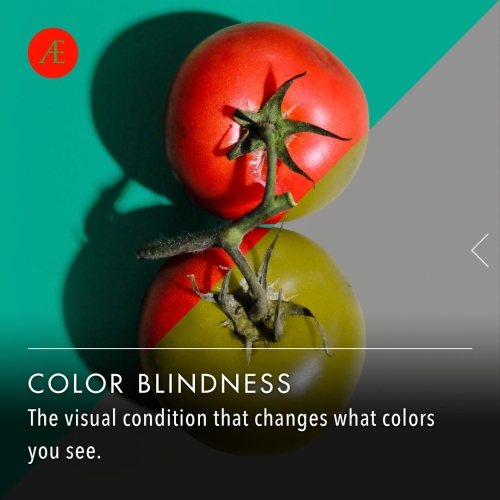 Instagram-post-slider-colorblindness1