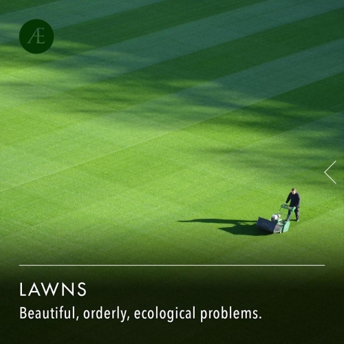 Instagram-post-slider-lawns1